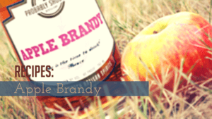 Drink Recipes made with Apple Brandy
